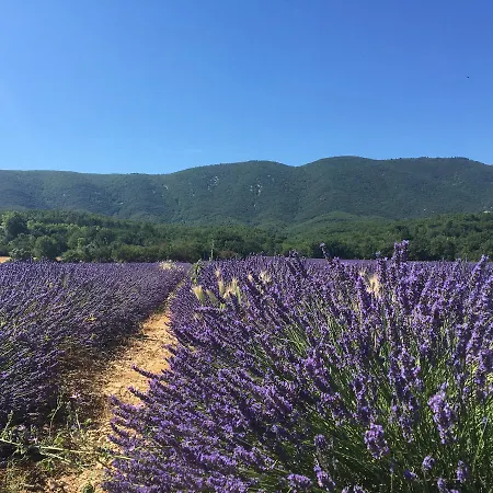 Domaine De La Bastidonne Céreste